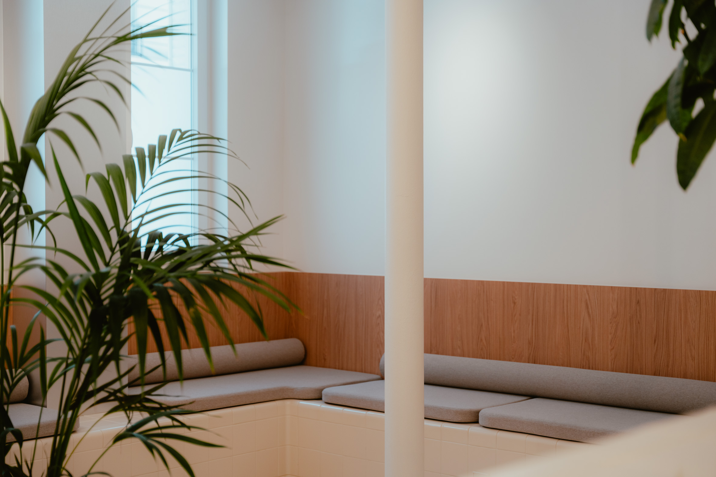 Accueil chaleureux du cabinet — cabinet d'orthodontie Paris 15e